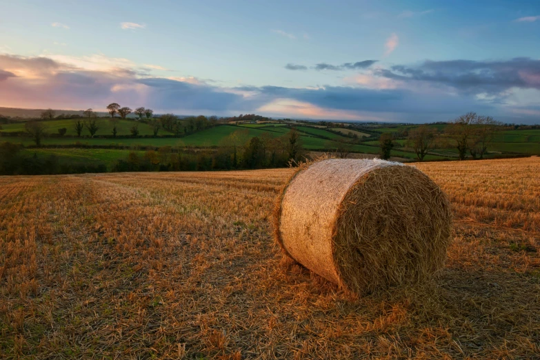 a bale of hay in a field at sunset, a picture, by Julian Hatton, shutterstock contest winner, pembrokeshire, fall season, sweeping vista, portrait image