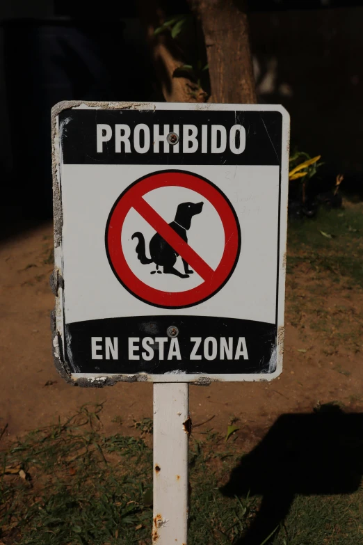 a white sign sitting on the side of a road, by Hirosada II, dogs, lizard, no trees or grass, forbidding