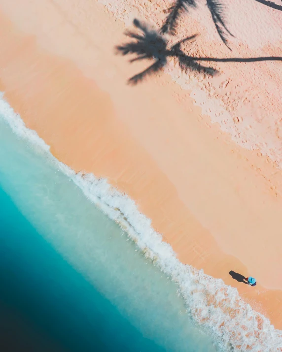 an aerial view of a beach with palm trees, pexels contest winner, looking out at a pink ocean, thumbnail, laying on sand, skiing