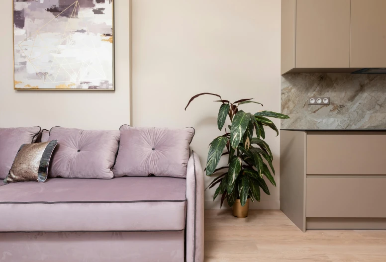 a purple couch sitting in a living room next to a kitchen, inspired by Richmond Barthé, trending on unsplash, light and space, small and cosy student bedroom, beige color scheme, overgrown with thick orchids, thin gold details