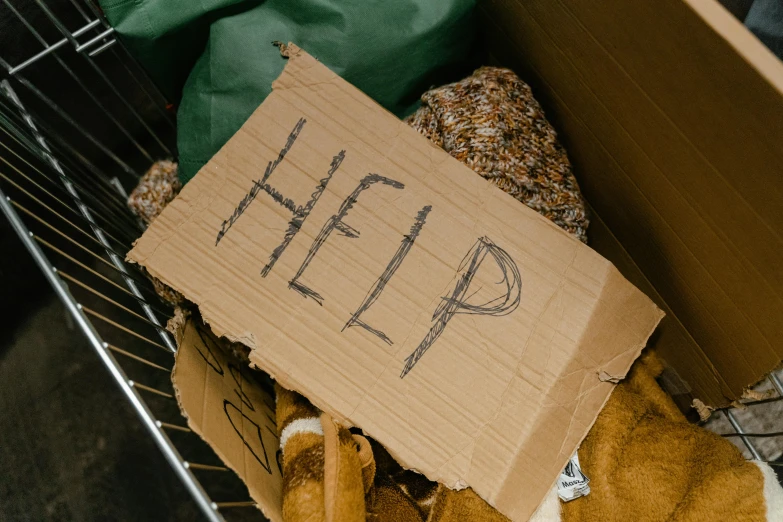 a cardboard sign sitting on top of a pile of stuffed animals, trending on pexels, graffiti, temporary emergency shelter, avatar image, homeless, gold