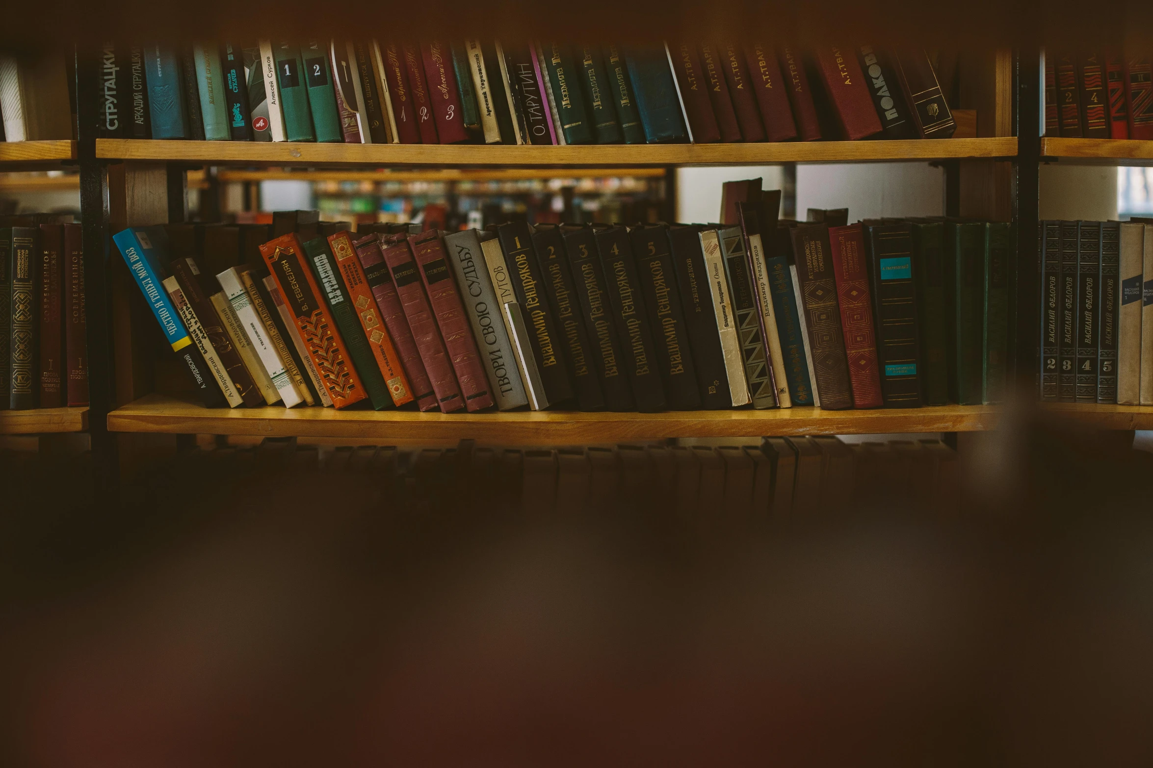 a book shelf filled with lots of books, a picture, by Jesper Knudsen, trending on unsplash, obscured underexposed view, brown, 🎨🖌️, half-body shot