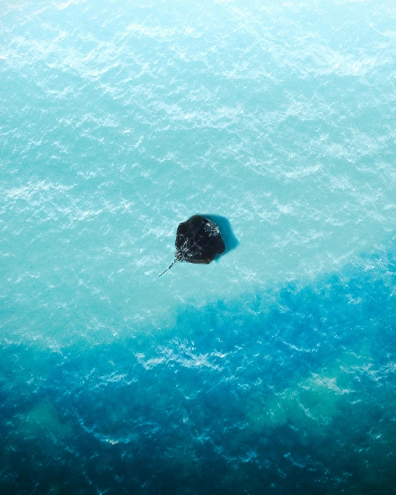 a person riding a surfboard on a wave in the ocean, an album cover, unsplash contest winner, minimalism, manta ray made of pancake, black and aqua colors, looking down from above, oil spills