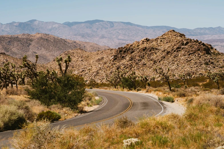 a road in the middle of a desert with mountains in the background, by Lee Loughridge, unsplash contest winner, winding around trees, palm springs, background image, rocky hills