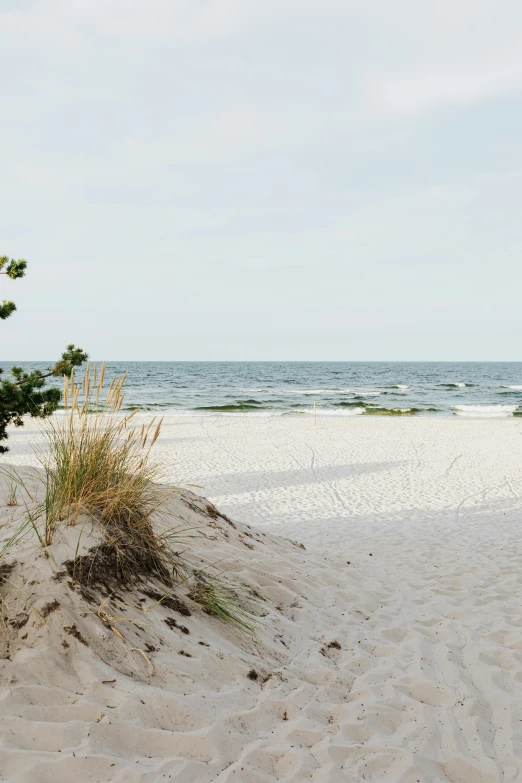 a red fire hydrant sitting on top of a sandy beach, unsplash, minimalism, poland, panorama, white sand, a green