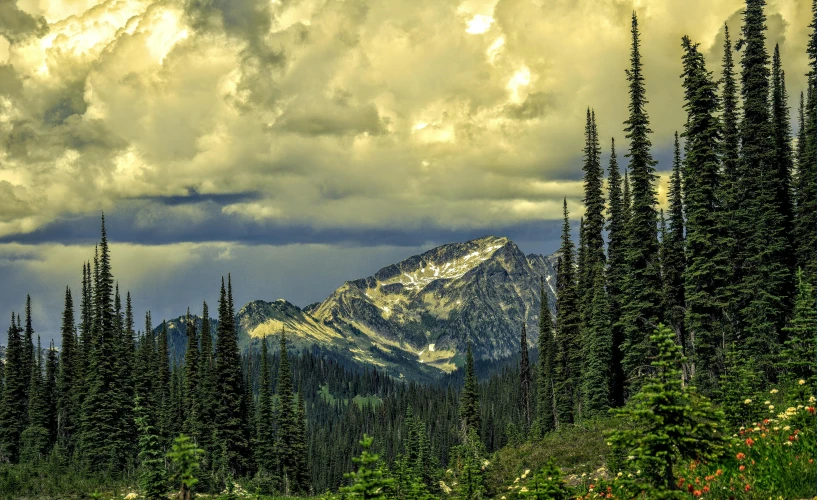 a mountain in the distance with trees in the foreground, by Jim Nelson, pexels contest winner, renaissance, evening storm, british columbia, mountain pass, slide show