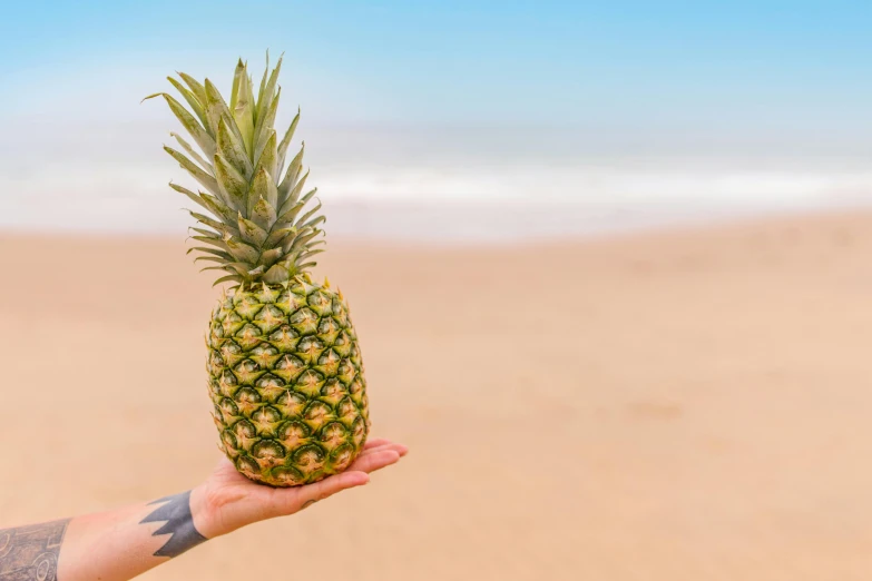 a person holding a pineapple on the beach, by Romain brook, pexels contest winner, plain background, maritime pine, 🐿🍸🍋, omaha beach