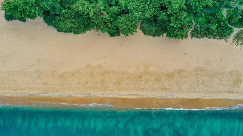 an aerial view of a beach and trees, a screenshot, pexels contest winner, a green, on the sand, turquoise, bali