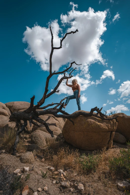 a man standing on top of a rock next to a tree, desert mirage, epic sky, doing a sassy pose, overhanging branches