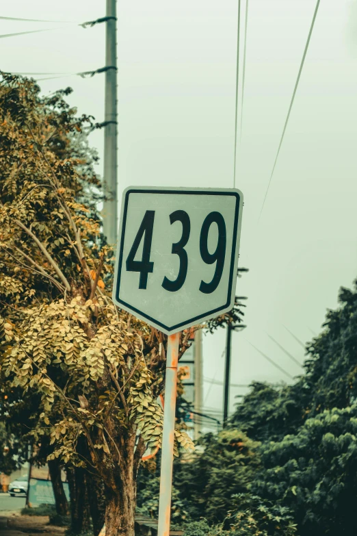 a street sign sitting on the side of a road, by Matt Cavotta, unsplash, happening, sacred numbers, indonesia, in 4 d, 303