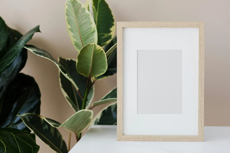 a picture frame sitting on top of a table next to a plant, pexels contest winner, clean and pristine design, square shapes, photographic print, rectangle