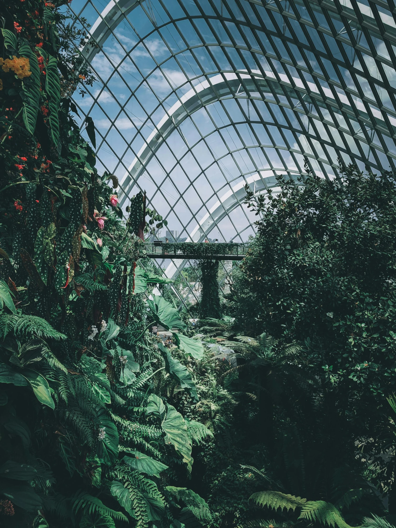 a greenhouse filled with lots of plants and trees, inspired by Thomas Struth, unsplash contest winner, visual art, singapore ( 2 0 1 8 ), massive arch, photo taken on fujifilm superia, lush alien landscape