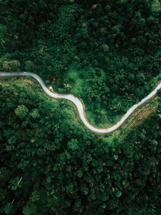 a winding road in the middle of a forest, unsplash contest winner, sumatraism, helicopter view, green jungle, headshot, 🦑 design