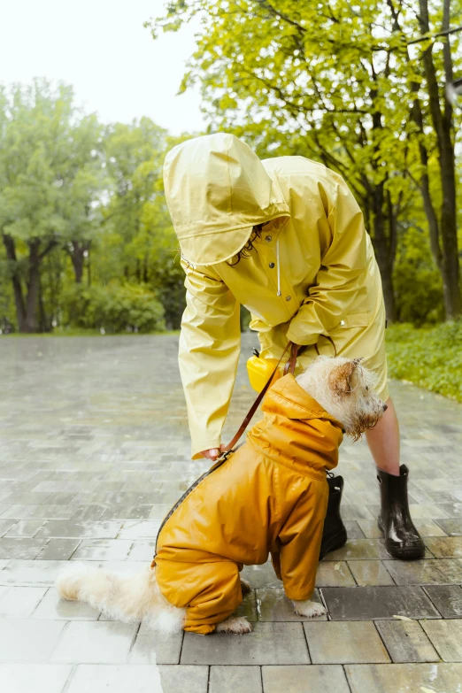 a person in a raincoat with a dog on a leash, on ground, yellow, head down, 2 animals