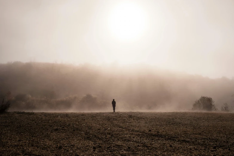 a person standing in a field on a foggy day, pexels contest winner, harsh sunlight, standing on a martian landscape, beige mist, brown