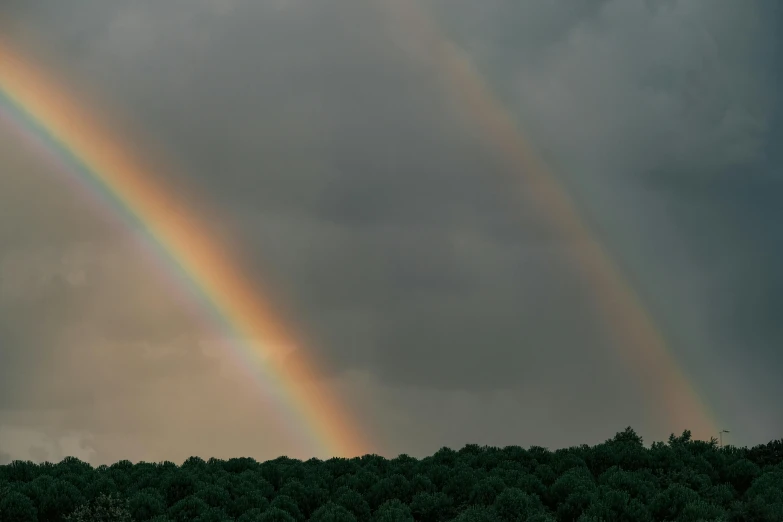 a couple of rainbows that are in the sky, an album cover, unsplash contest winner, forest on the horizont, shot on hasselblad, shot on 1 5 0 mm, brown