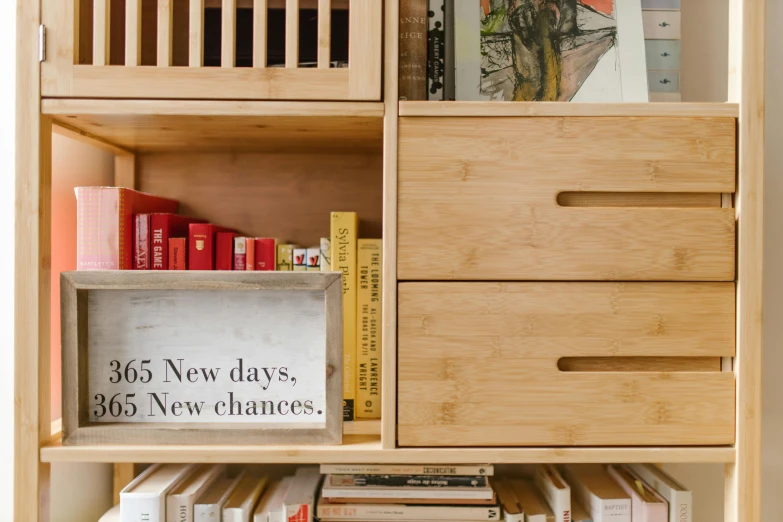 a book shelf filled with lots of books, inspired by Donald Judd, unsplash, private press, bamboo, 9 9 designs, small chest, joy ang