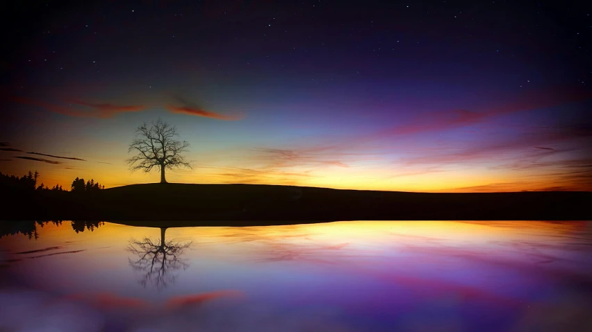 a tree that is standing in the water, pexels contest winner, magical realism, colorful night sky, reflective gradient, horizon, today\'s featured photograph 4k