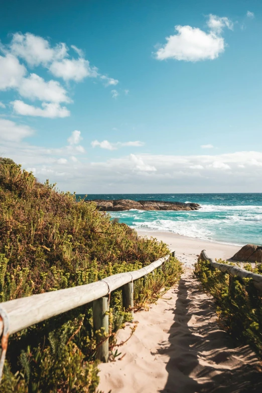 a path leading to the beach on a sunny day, by Terese Nielsen, unsplash, 2 5 6 x 2 5 6 pixels, australia, ocean spray, chile