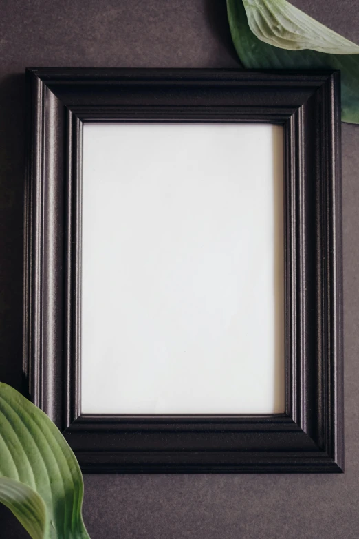 a black frame sitting on top of a table next to a plant, by John Murdoch, smooth clean texture, close up portrait, smooth panelling, other stuff