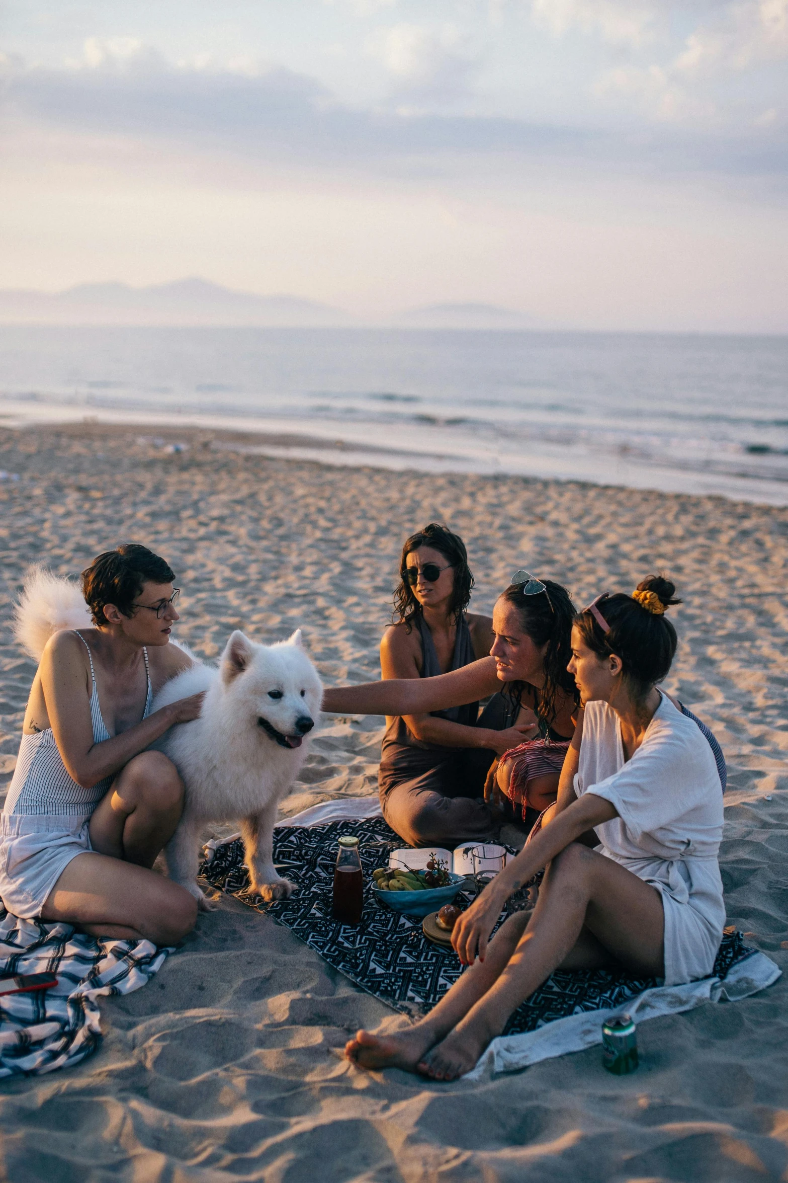 a group of women sitting on top of a sandy beach, with dogs, food, sunset beach, cozy setting