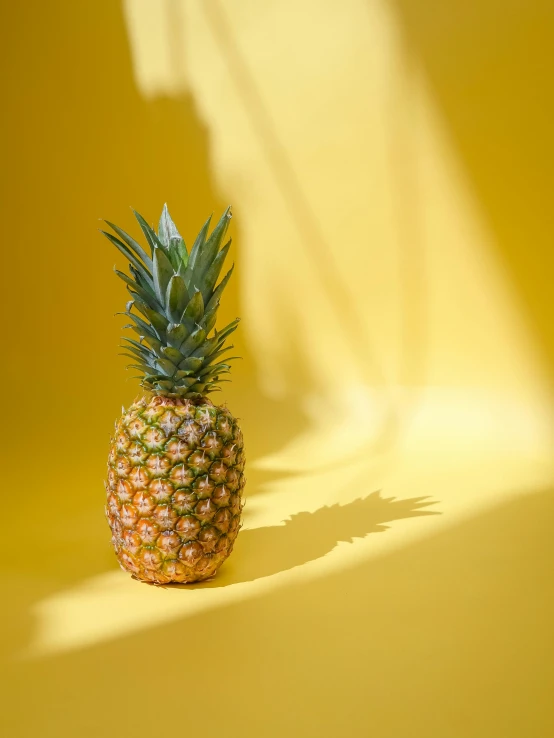 a pineapple sitting on a yellow surface, brightly-lit, slide show, multiple stories, detailed product shot