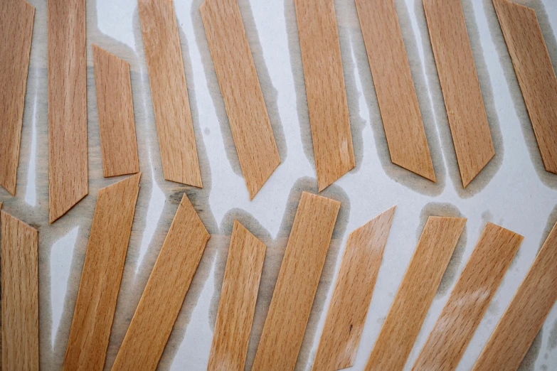 a bunch of pieces of wood sitting on top of a table, by Maria Johanna Görtz, trending on pexels, process art, rows of razor sharp teeth, oak parquet, spatula, graphic detail