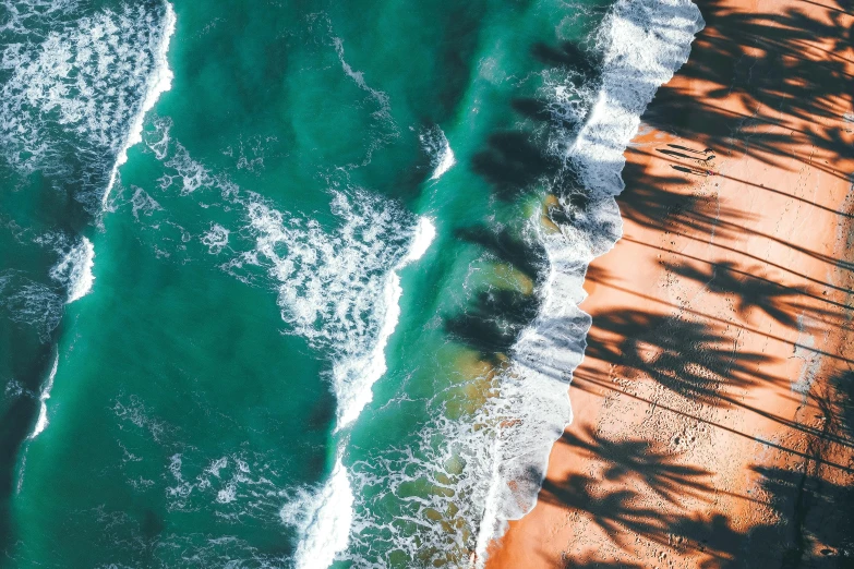 an aerial view of a beach with palm trees, pexels contest winner, waves of energy, in a row, orange and teal color, thumbnail