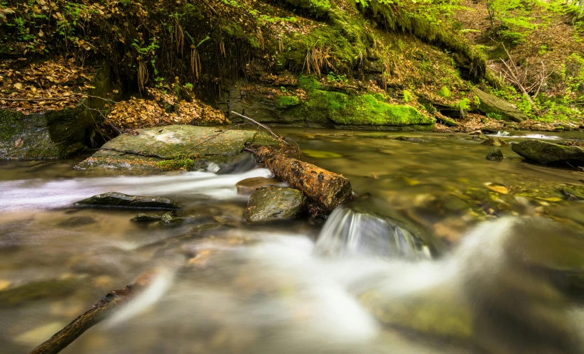 a stream running through a lush green forest, pexels contest winner, long exposure 8 k, autumn tranquility, closeup 4k, fan favorite