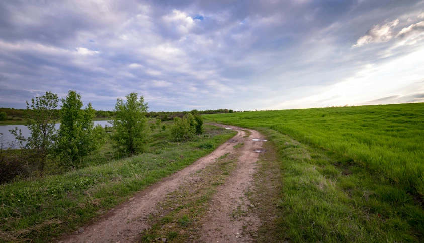 a dirt road running through a lush green field, by Adam Szentpétery, unsplash, land art, near a lake, azamat khairov, spring evening, today\'s featured photograph 4k