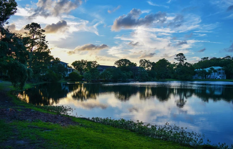 a body of water surrounded by trees and grass, godrays at sunset, kicking a florida mansion, a park, blue and green water