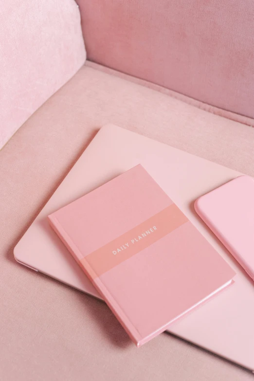 a couple of notebooks sitting on top of a couch, by Julia Pishtar, pastel pink skin tone, ((pink)), product shot, monochromatic