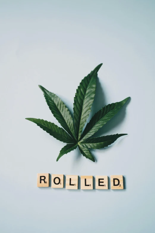 a marijuana leaf with the word rolled spelled on it, an album cover, inspired by Holger Roed, trending on pexels, wheels, balanced, 王琛, stuffed