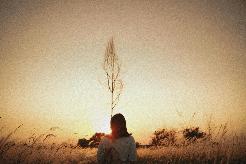 a woman sitting in a field at sunset, pexels contest winner, under the soft shadow of a tree, instagram post, sunfaded, heartbreak