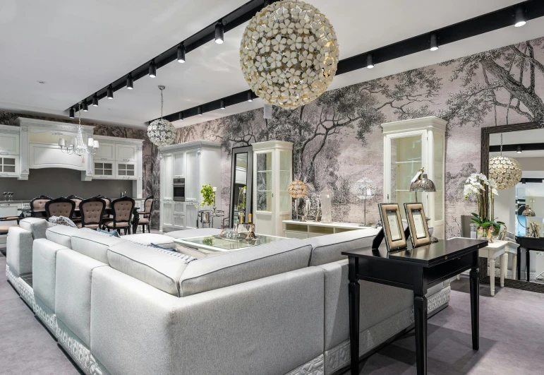 a living room filled with furniture and a chandelier, inspired by William Home Lizars, photo for a store, esher, pristine quality wallpaper, suspended ceiling