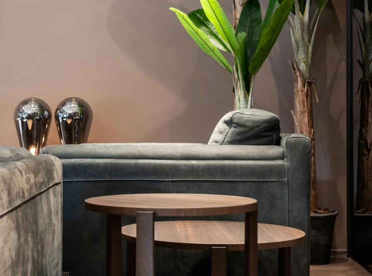 a living room filled with furniture and a plant, sitting on a mocha-colored table, sleek round shapes, velvet couch, thumbnail