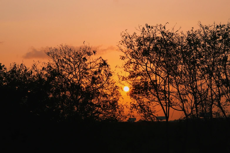 the sun is setting behind some trees, a picture, pexels contest winner, happening, humid evening, photo taken from far, orange sky, instagram post