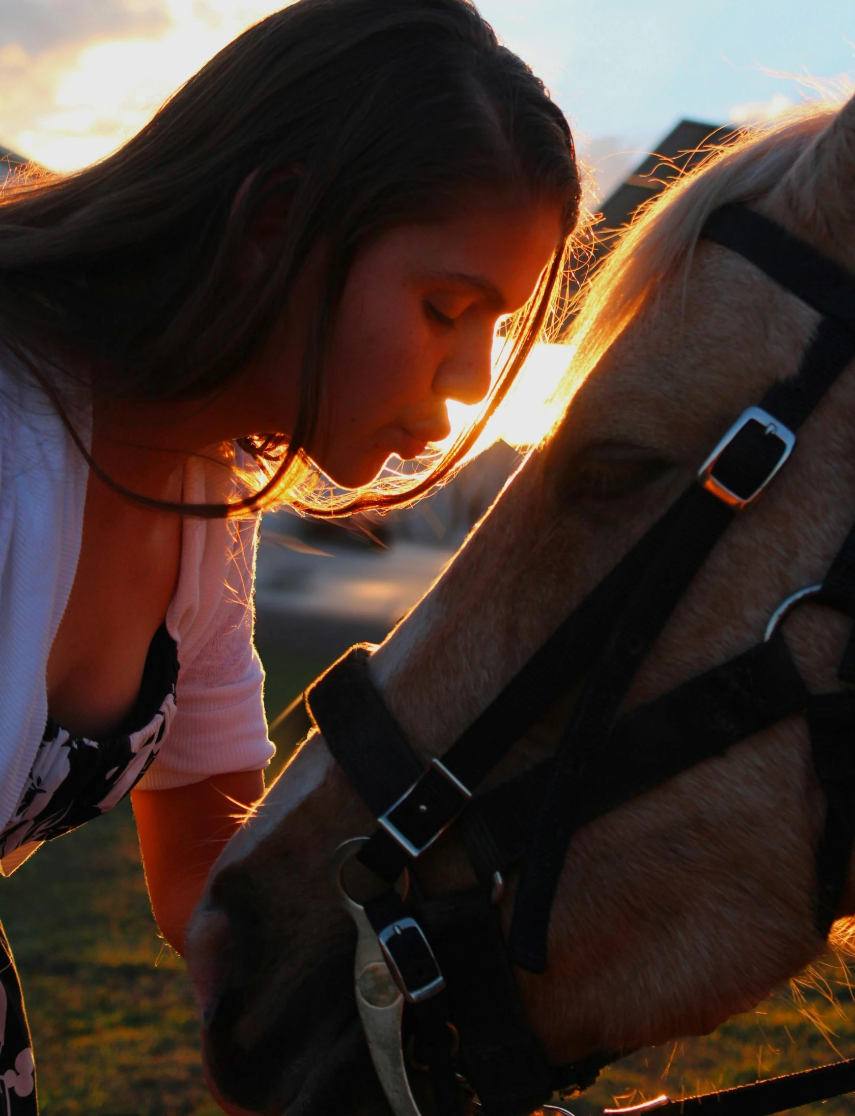 a young girl petting a horse in a field, pexels contest winner, romanticism, 8 k sensual lighting, facing each other, 🐎🍑