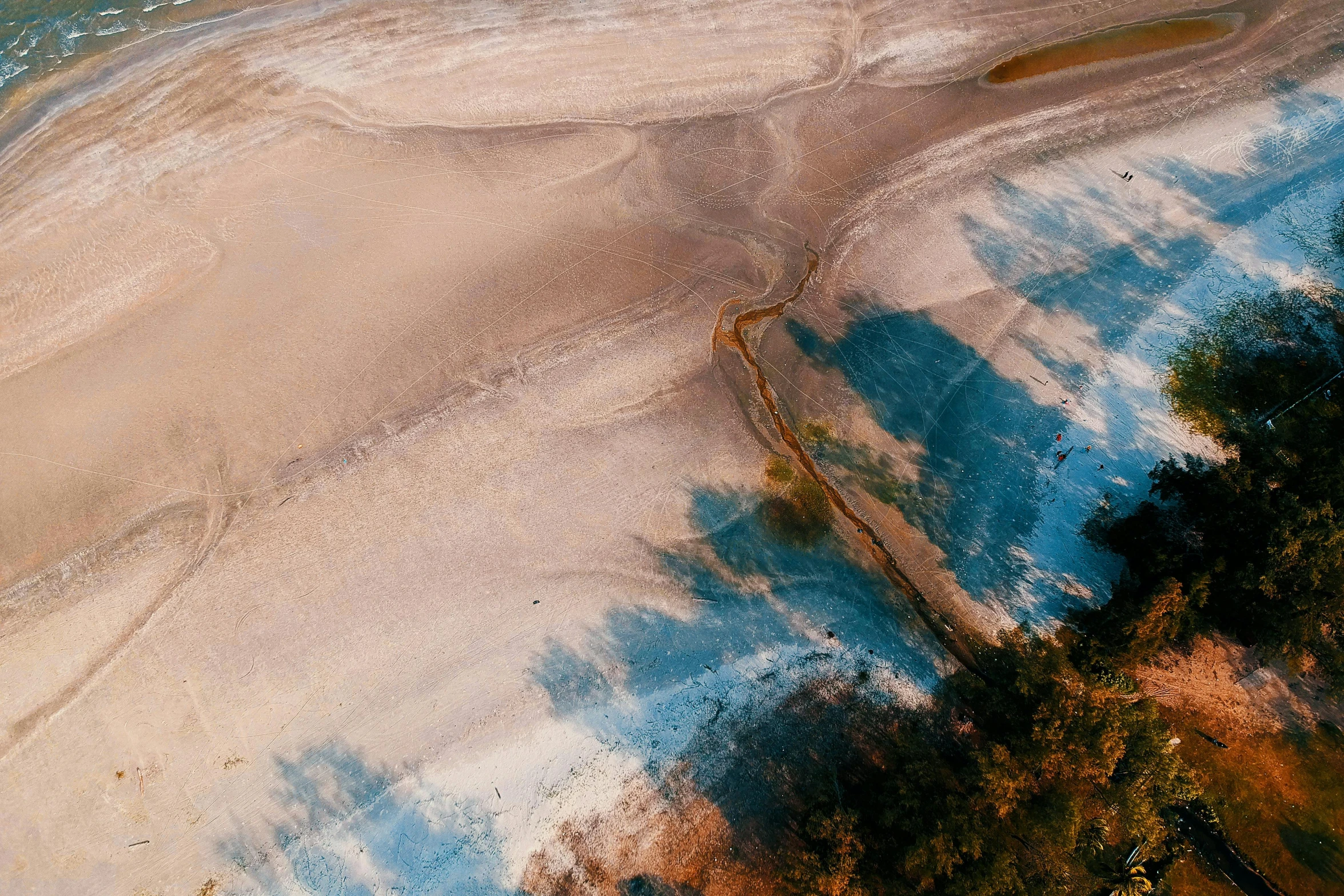 a bird's eye view of a sandy beach, inspired by Filip Hodas, unsplash contest winner, blue veins, with trees and rivers, bleached colours, australian beach