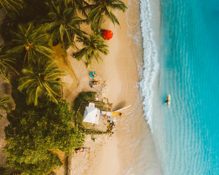 an aerial view of a beach with palm trees, pexels contest winner, beach bar, surfing, covered, 1 2 9 7