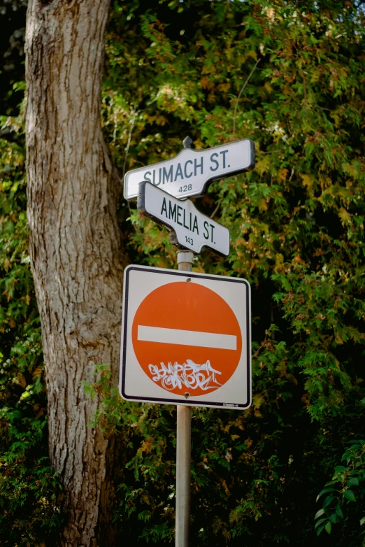 a close up of a street sign with trees in the background, inspired by Emanuel Büchel, featured on reddit, graffiti, white and orange, simon birch, ameera al-taweel, dunce