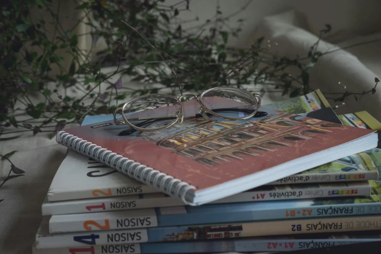 a stack of books with glasses on top of them, a picture, by Maksimilijan Vanka, photorealism, notebook, on the cover of a magazine, tourist photo, art-house aesthetic