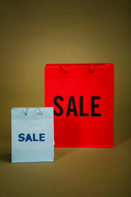 two shopping bags with sale written on them, a photo, by Samuel Scott, hyperrealism, thumbnail, full frame image, 8 k -, f / 1