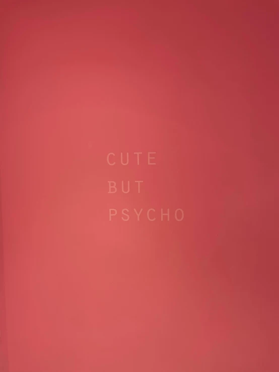 a red book with the words cute but psycho written on it, an album cover, by Chizuko Yoshida, creepy aesthetic, cute pictoplasma, ptsd, 2017