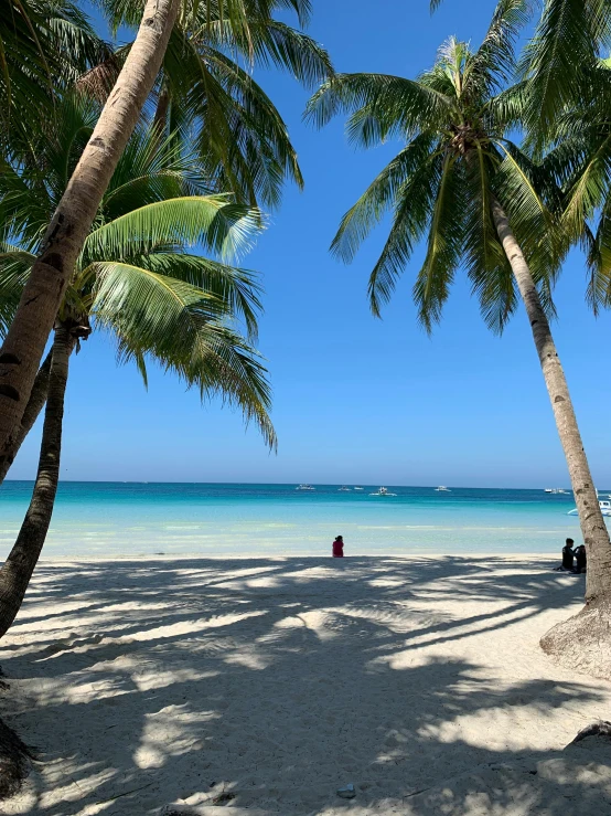 a couple of palm trees sitting on top of a sandy beach, standing on a beach in boracay, slide show, 2019 trending photo