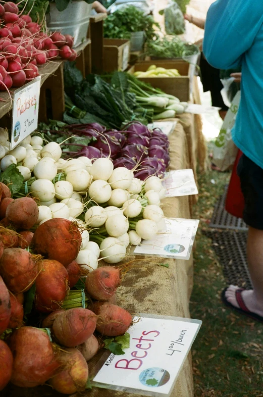 a table filled with lots of different types of vegetables, by Elizabeth Durack, maroon and white, walking down, fair, shady