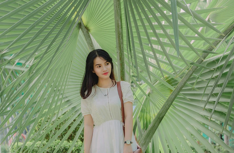 a woman standing in front of a palm tree, inspired by Ren Hang, pexels contest winner, pale green glow, ulzzang, avatar image, wearing white dress