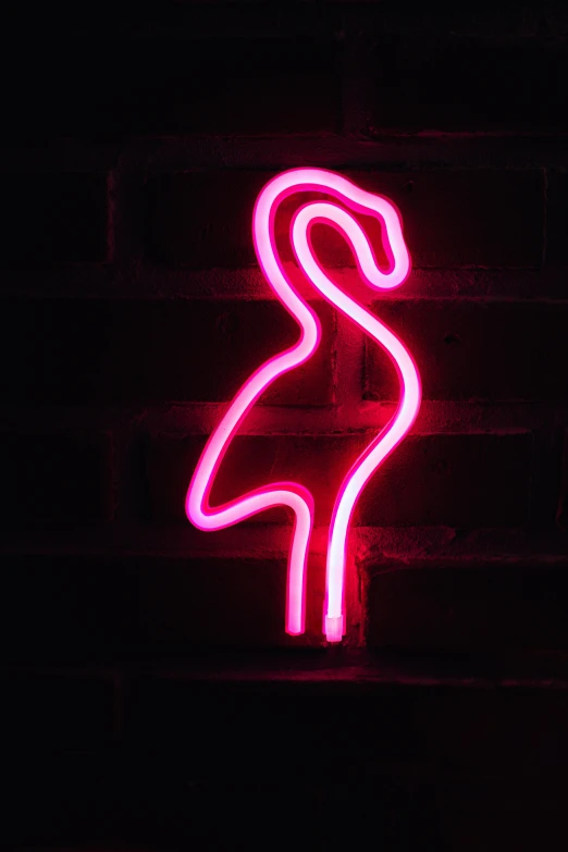 a neon pink flamingo on a brick wall, pexels, neon standup bar, neon ligh, mew, grainy