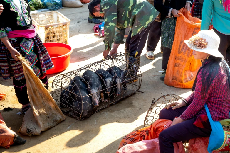 a group of people standing around a cage filled with pigs, by Meredith Dillman, pexels contest winner, hurufiyya, abalone, trampling over pyongyang, bags on ground, fishing