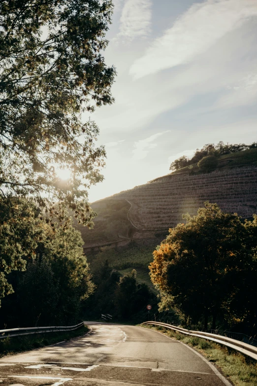 a motorcycle is parked on the side of the road, unsplash contest winner, an idyllic vineyard, light glare, hill with trees, germany. wide shot